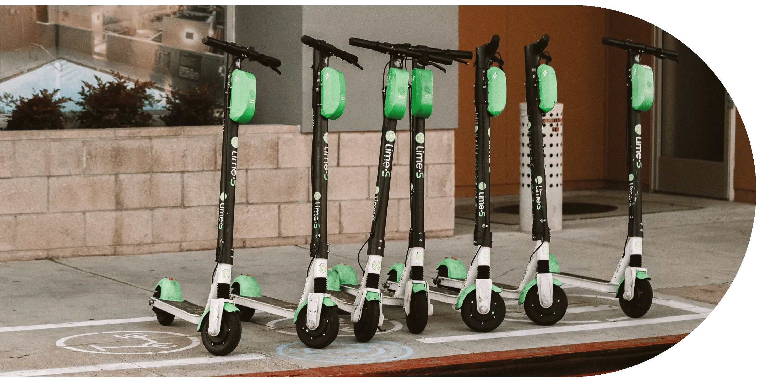 LimePressRibbon.png