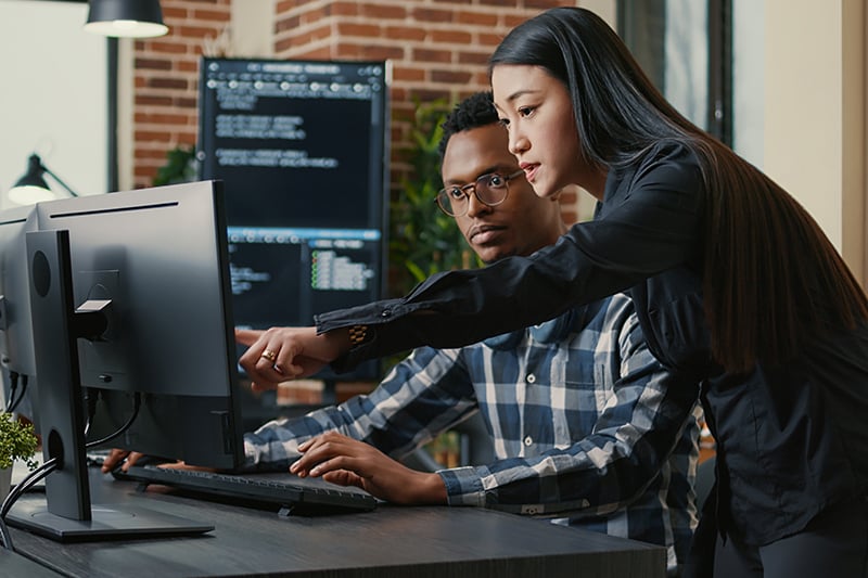 Male and female software developers in office