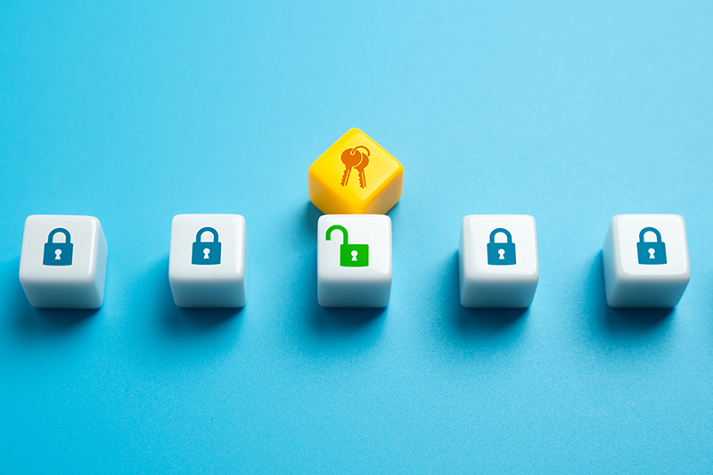 Set of vulnerable locks concept blocks